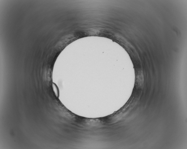 X0000111430525200908101118