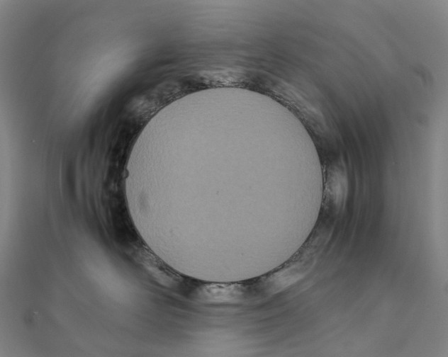 X0000111430526200908101118