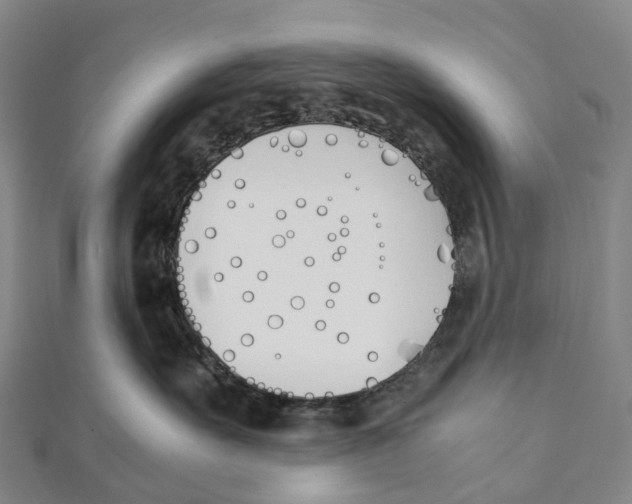 X0000111430527200908101118