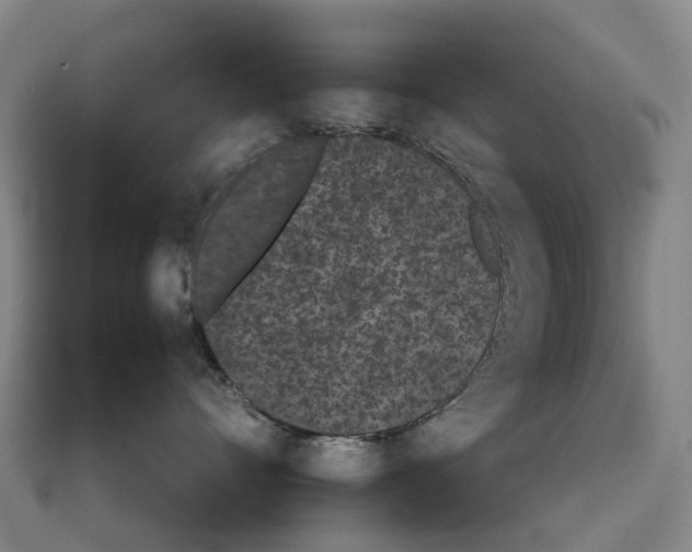 X0000111430528200908101118