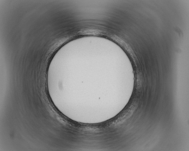 X0000111430529200908101118