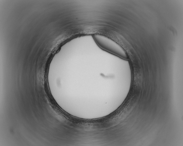 X0000111430530200908101118