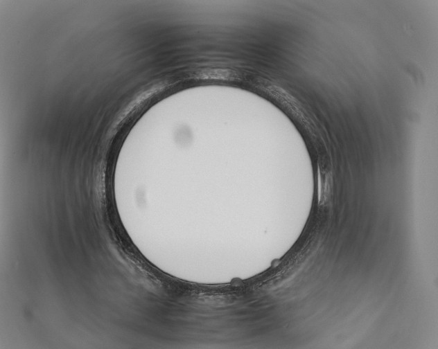 X0000111430531200908101118