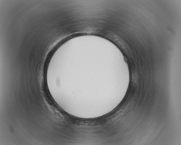X0000111430532200908101118