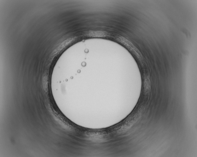 X0000111430533200908101118