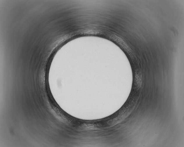 X0000111430534200908101118