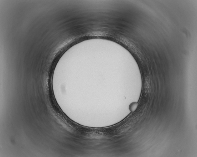 X0000111430535200908101118