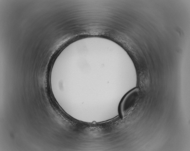 X0000111430536200908101118