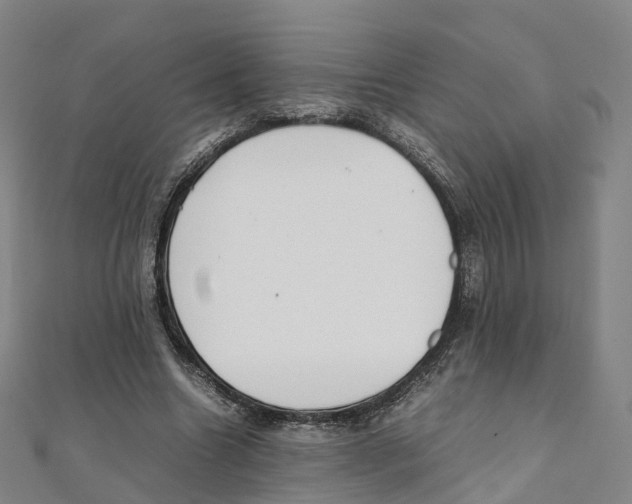 X0000111430538200908101118