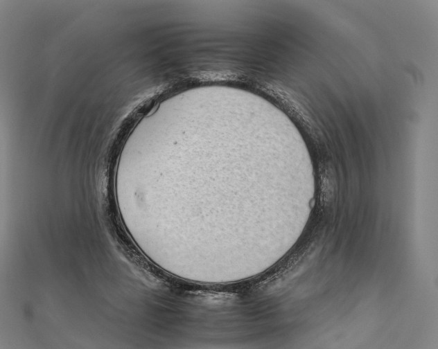 X0000111430539200908101118