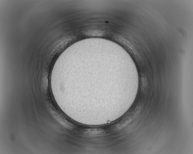 X0000111430541200908101118