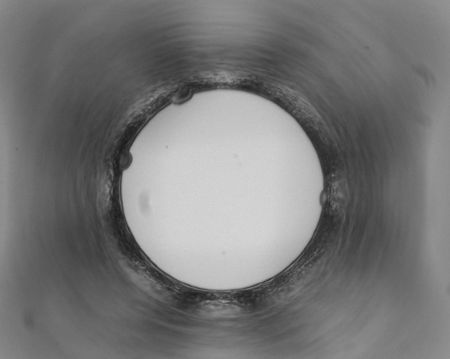 X0000111430544200908101118