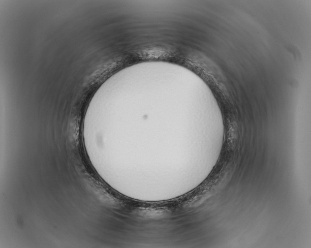 X0000111430545200908101118