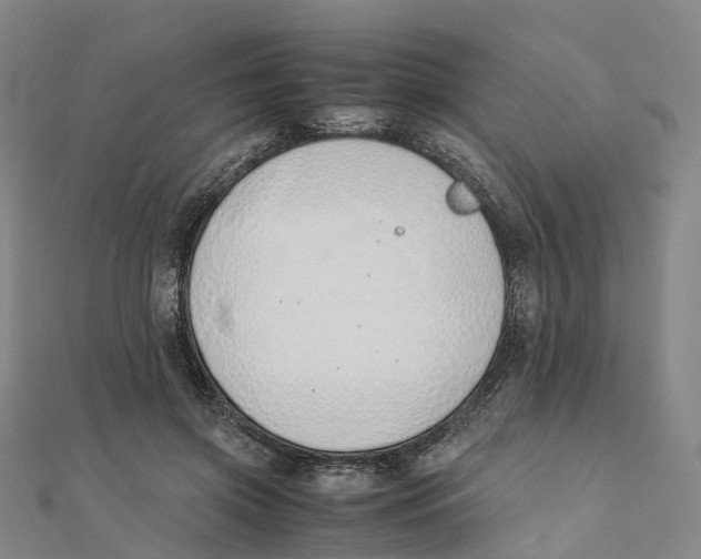 X0000111430549200908101118