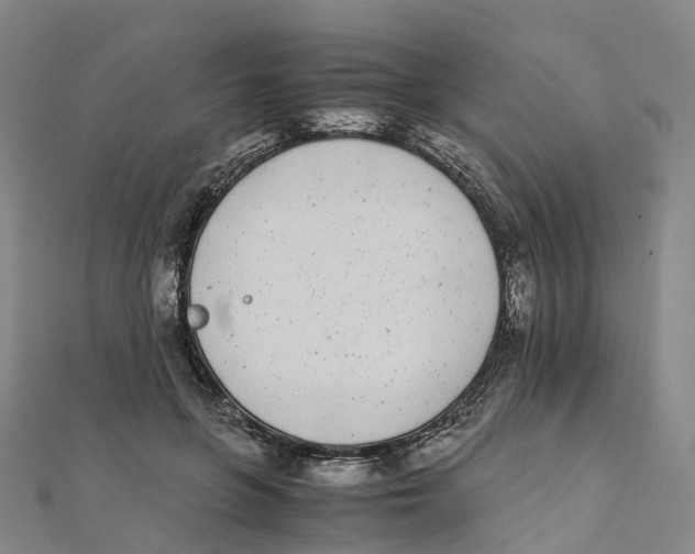 X0000111430551200908101118