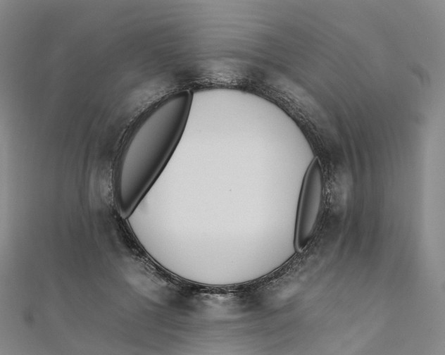 X0000111430552200908101118