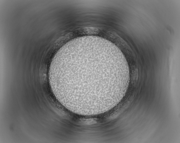 X0000111430553200908101118