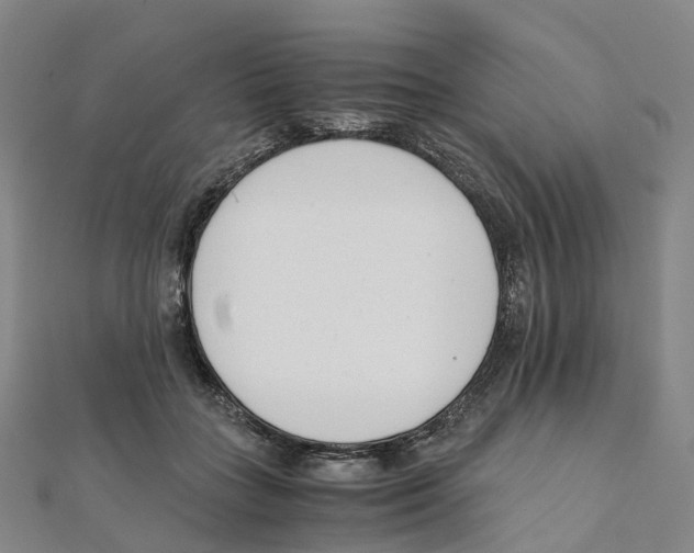 X0000111430555200908101118