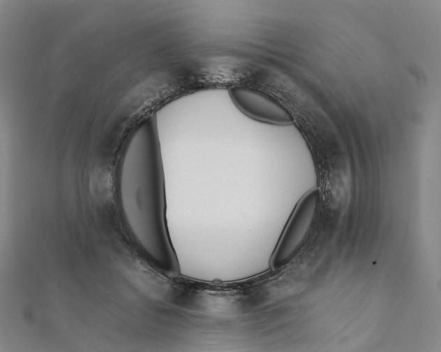 X0000111430556200908101118
