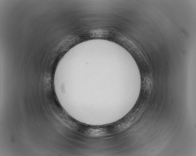 X0000111430557200908101118