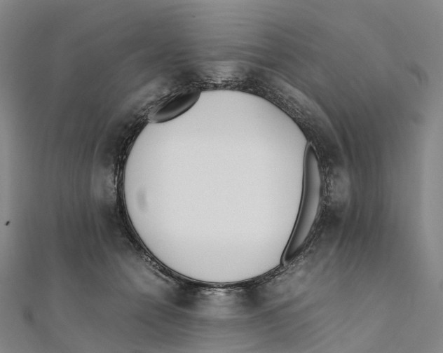 X0000111430558200908101118