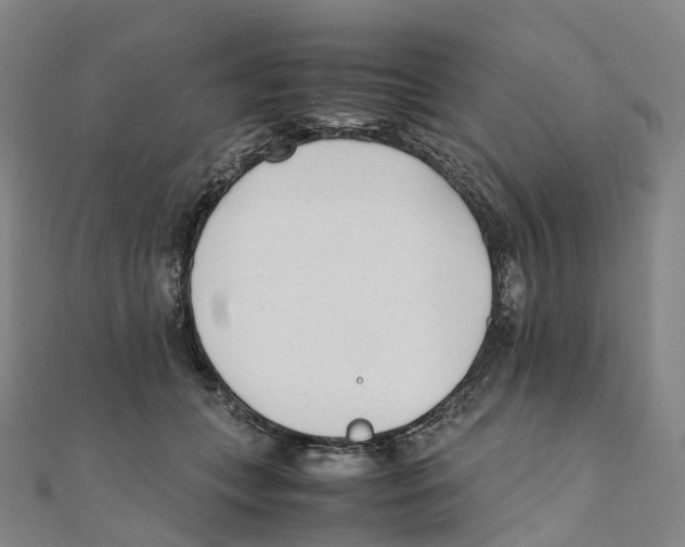 X0000111430559200908101118