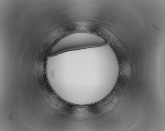 X0000111430560200908101118