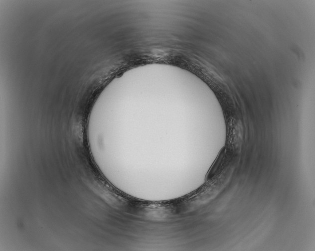X0000111430562200908101118
