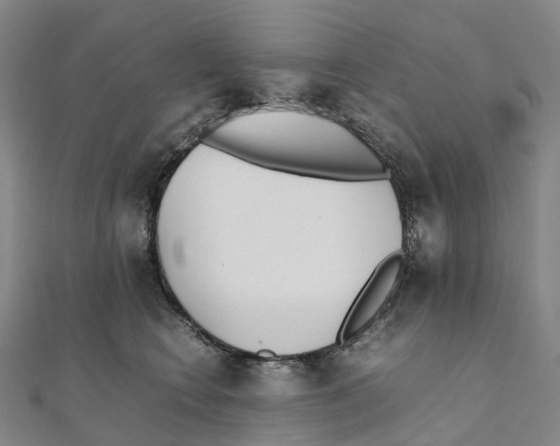 X0000111430566200908101118
