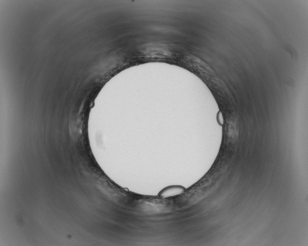 X0000111430567200908101118