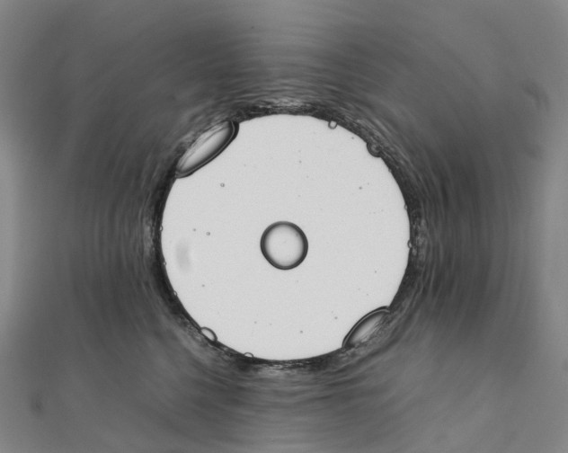 X0000111430568200908101118