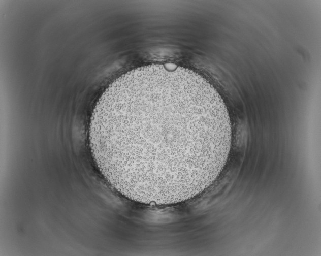 X0000111430569200908101118