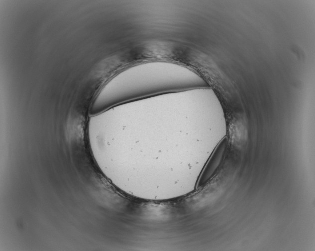 X0000111430570200908101118