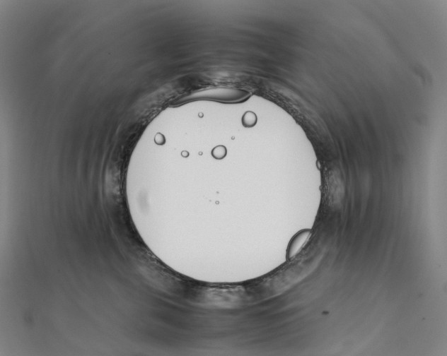 X0000111430571200908101118