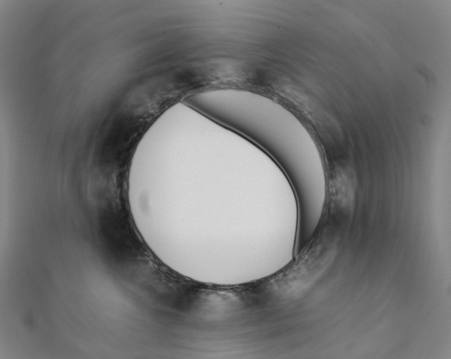 X0000111430572200908101118