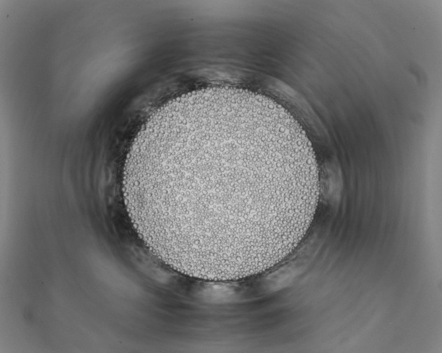 X0000111430573200908101118