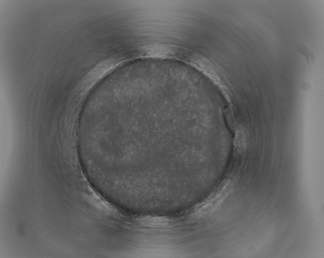 X0000111430577200908101118