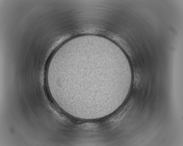X0000111430578200908101118