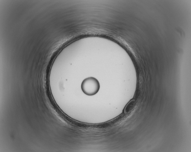 X0000111430581200908101118