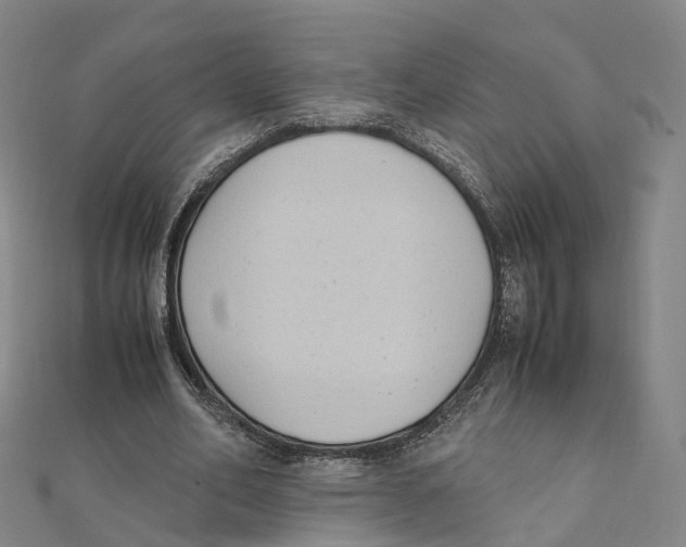 X0000111430582200908101118