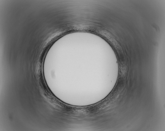 X0000111430583200908101118