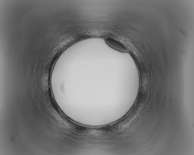 X0000111430585200908101117