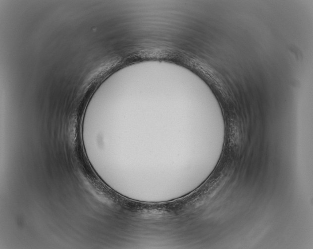 X0000111430586200908101117