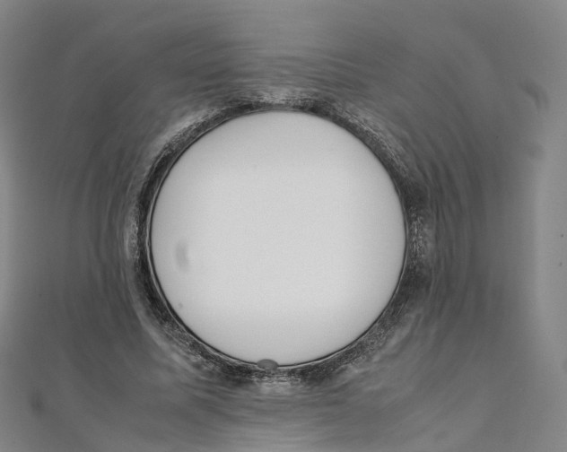 X0000111430587200908101117