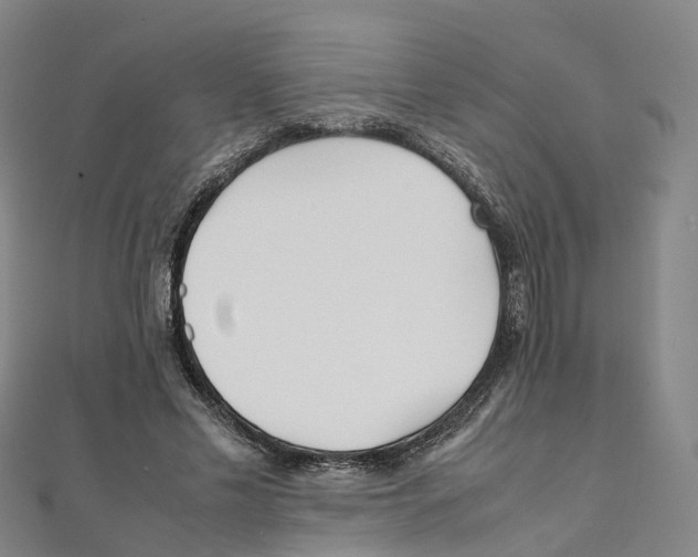 X0000111430589200908101117