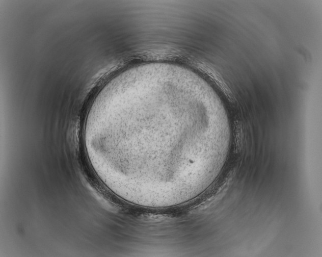 X0000111430590200908101117
