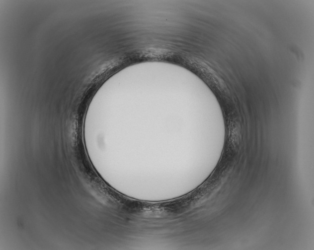 X0000111430591200908101117