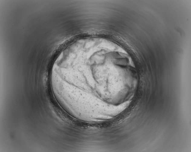 X0000111430592200908101117