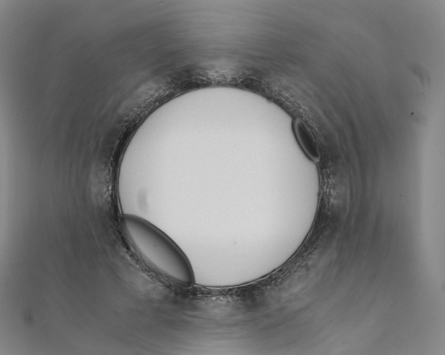X0000111430593200908101117
