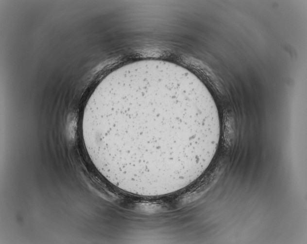 X0000111430596200908101117